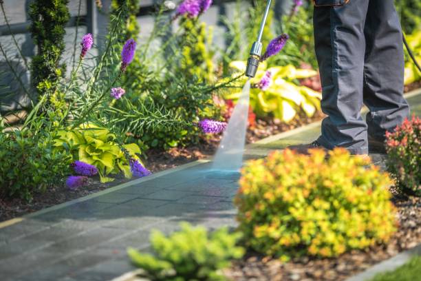 Best Fence Cleaning  in Norco, CA